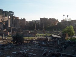 mini-HPIM4831 mini-HPIM4831