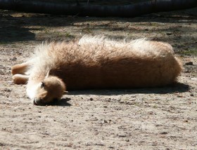 mini-P1010038 mini-P1010038